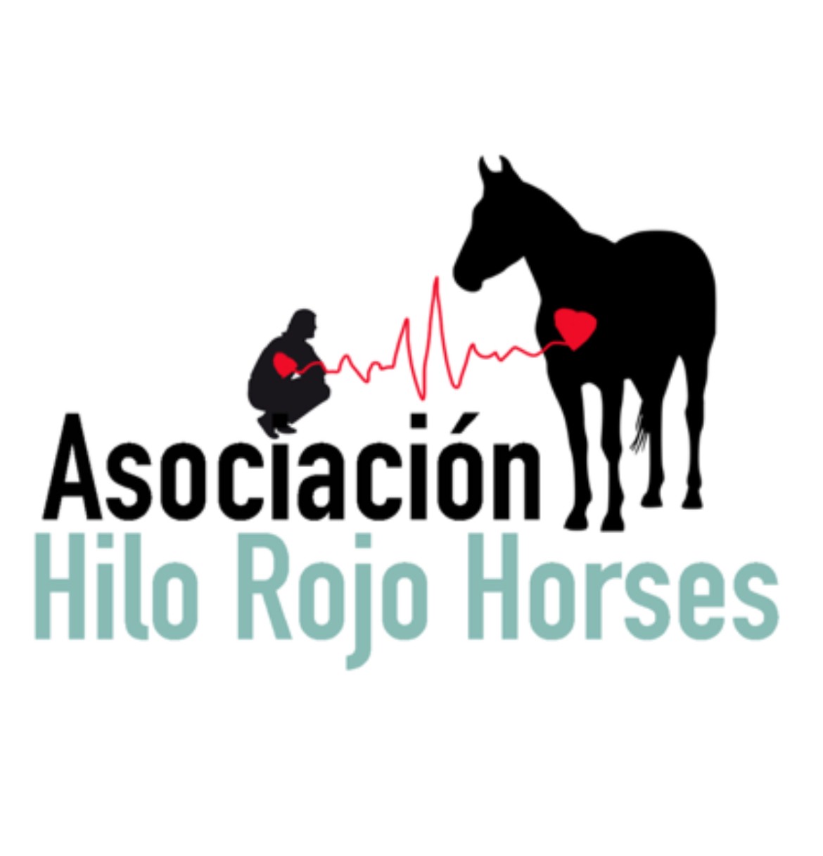 HILO ROJO HORSES